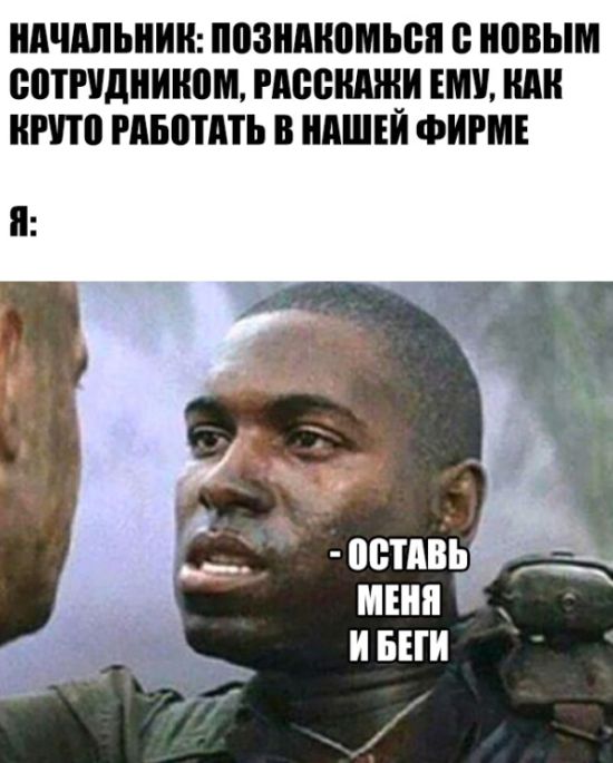 Подборка картинок. Дневной выпуск (51 фото)