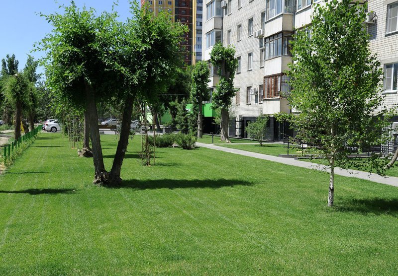 Как за полгода превратить Россию в Европу Как за полгода превратить Россию в Европу волгоград