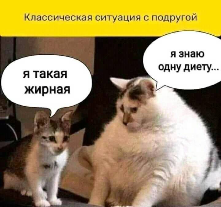 В автобусе женщина-кондуктор подходит к пассажиру - молодому мужчине... В автобусе женщина-кондуктор подходит к пассажиру - молодому мужчине... Весёлые,прикольные и забавные фотки и картинки,А так же анекдоты и приятное общение