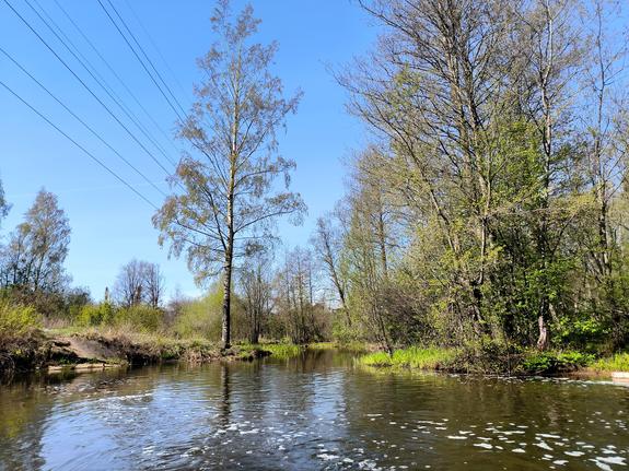 Пропавшую экс-сотрудницу ФСИН нашли мертвой в одном из водоемов Свердловской области