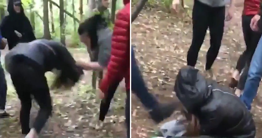 Школьники сняли на видео избиение сверстницы в московском парке