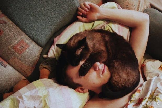 Причины, по которым кошки любят спать на своих хозяевах домашние животные,наши любимцы