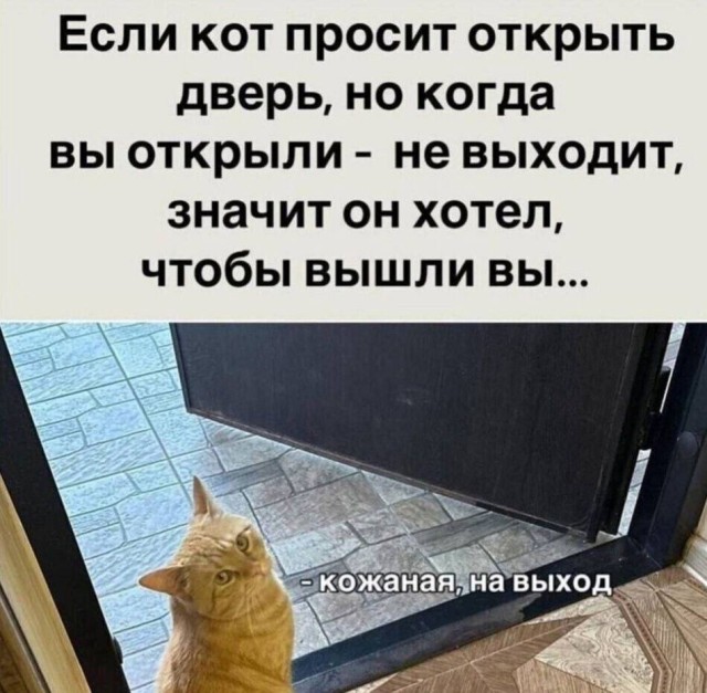 Бесит, когда ты устал и хочешь прилечь, но ты уже лежишь.... Юмор на сон грядущий 