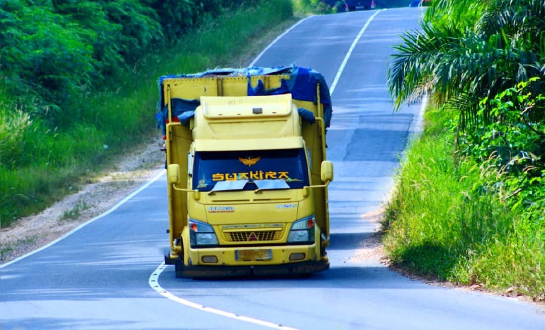 Маленькие грузовики Fuso Canter с внешностью от Scania и Actros MP4 - Индонезийский вид тюнинга грузовиков авто