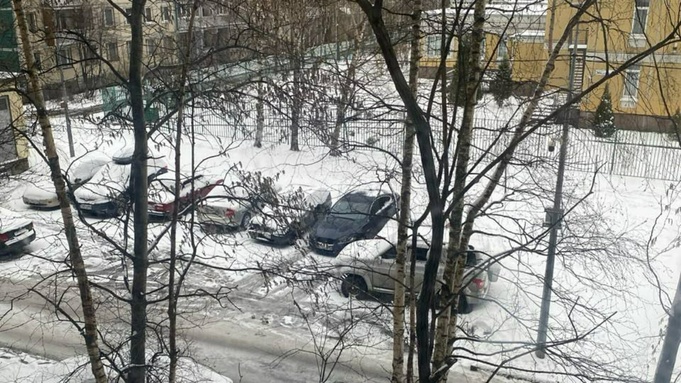 В Санкт-Петербурге выпало 11 сантиметров снега