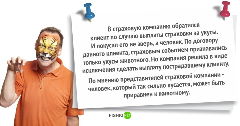Ты страхуй, иль не страхуй, все равно получишь интересно, курьезы, смешно, страхование