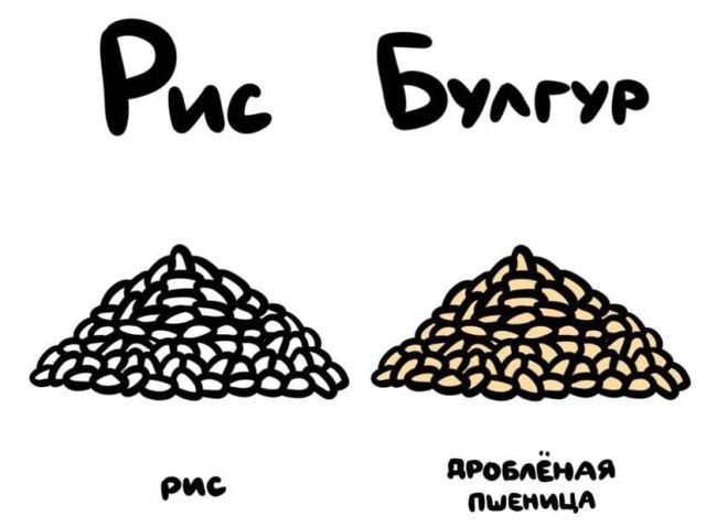 Короткие любопытные факты на все случаи жизни