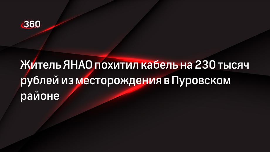 Житель ЯНАО похитил кабель на 230 тысяч рублей из месторождения в Пуровском районе