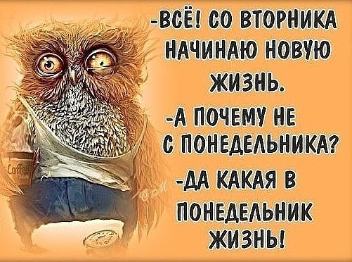 Пришел выпивший сосед, попросил политического убежища… Юмор,картинки приколы,приколы,приколы 2019,приколы про