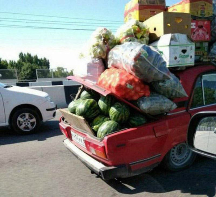 Урожай счастливых дачников.