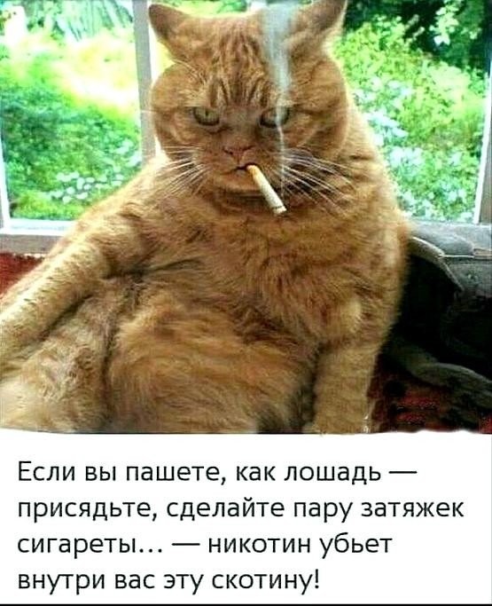 - А в Петербурге давно дождь? - С 1703 года... - А в Петербурге давно дождь? - С 1703 года... анекдоты,веселые картинки,демотиваторы,приколы,юмор