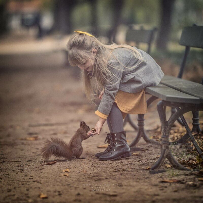 Фото без слов Фотография