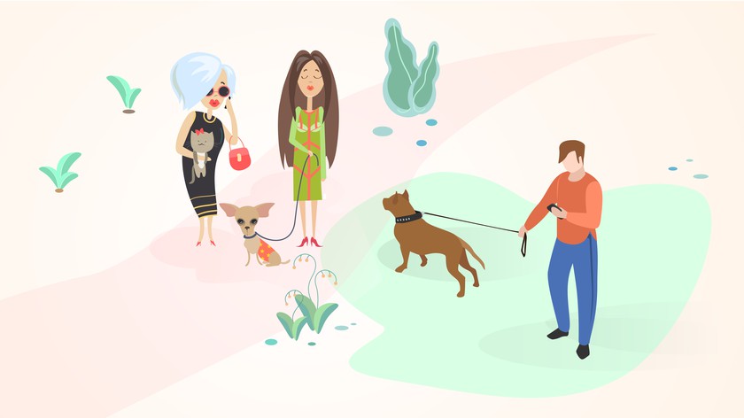 Бойцовые породы: за и против содержания таких собак в квартирах наши любимцы,полезные советы