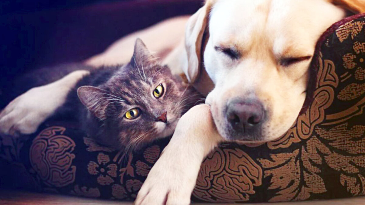 МГИМО и немножко счастья