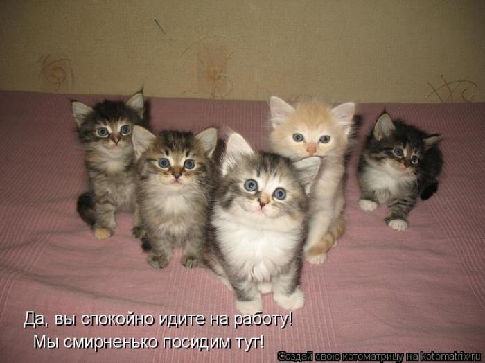 Мысли вслух :)