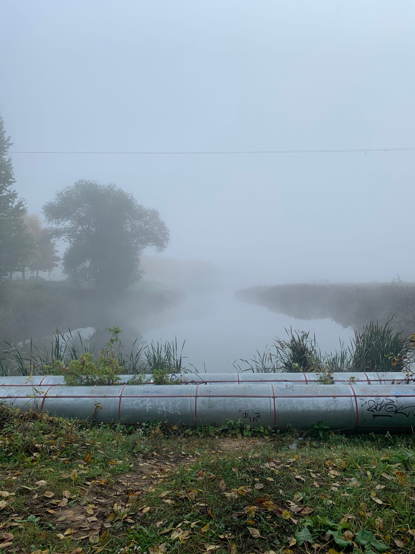 Жители Твери делятся атмосферными фотографиями утреннего тумана