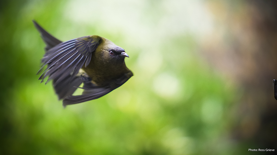 GH5, LEICA DG NOCTICRON 42.5mm / F1.2 ASPH. / POWER O.I.S., 1/10000 sec, F1.2, ISO1250