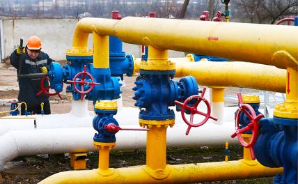 Воры и негодяи всюду: «Труба» испортила жизнь элите