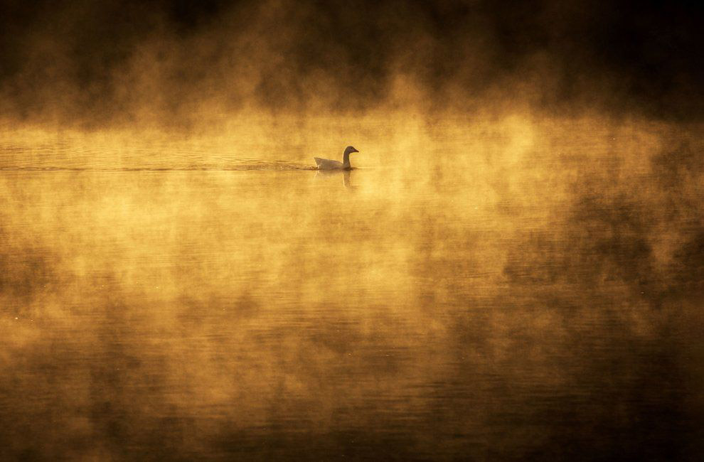 Осенние цвета Великобритании Осенние цвета Великобритании пейзажи