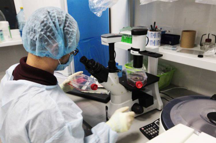 Программист-биохакер, разбогатевший на биткоинах, планирует создавать дизайнерских младенцев Программист-биохакер, разбогатевший на биткоинах, планирует создавать дизайнерских младенцев биохакер