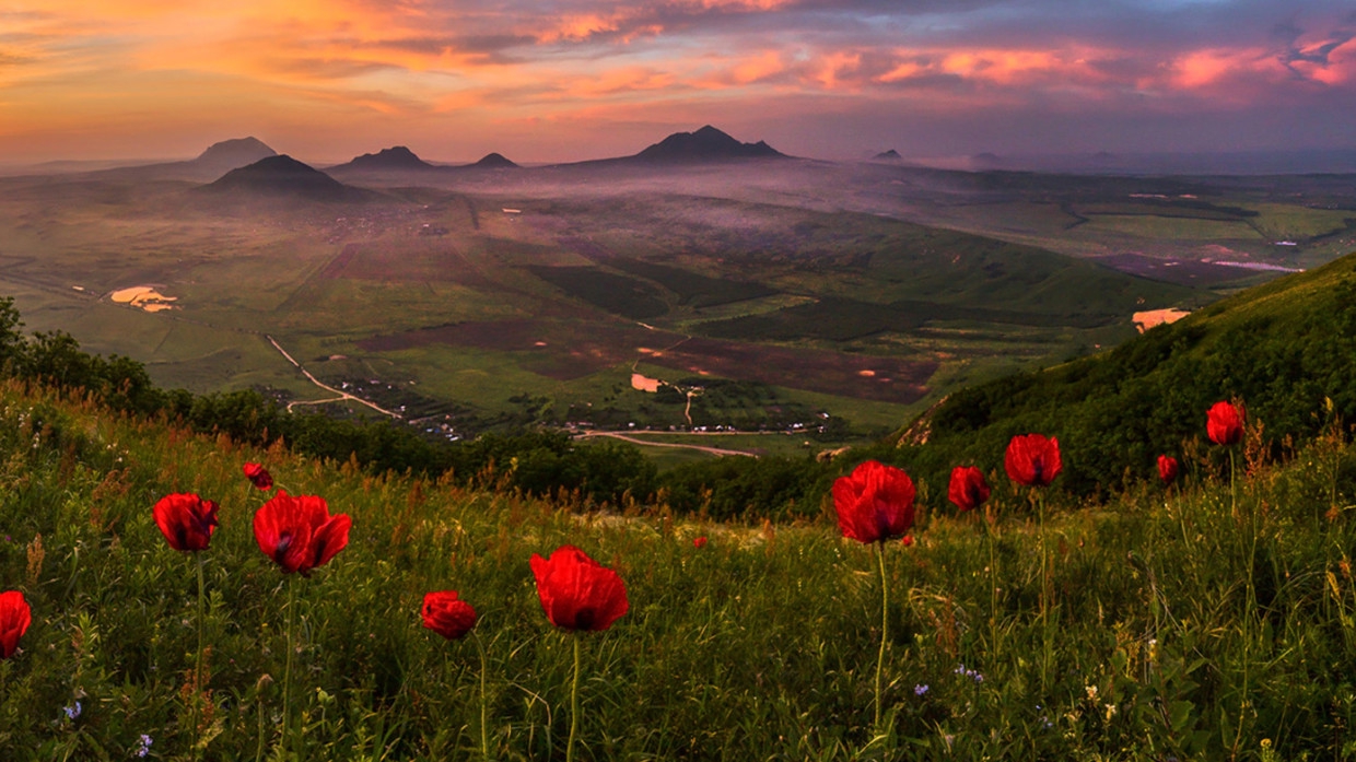 Новый вид растущих под землей растений обнаружили в Малайзии