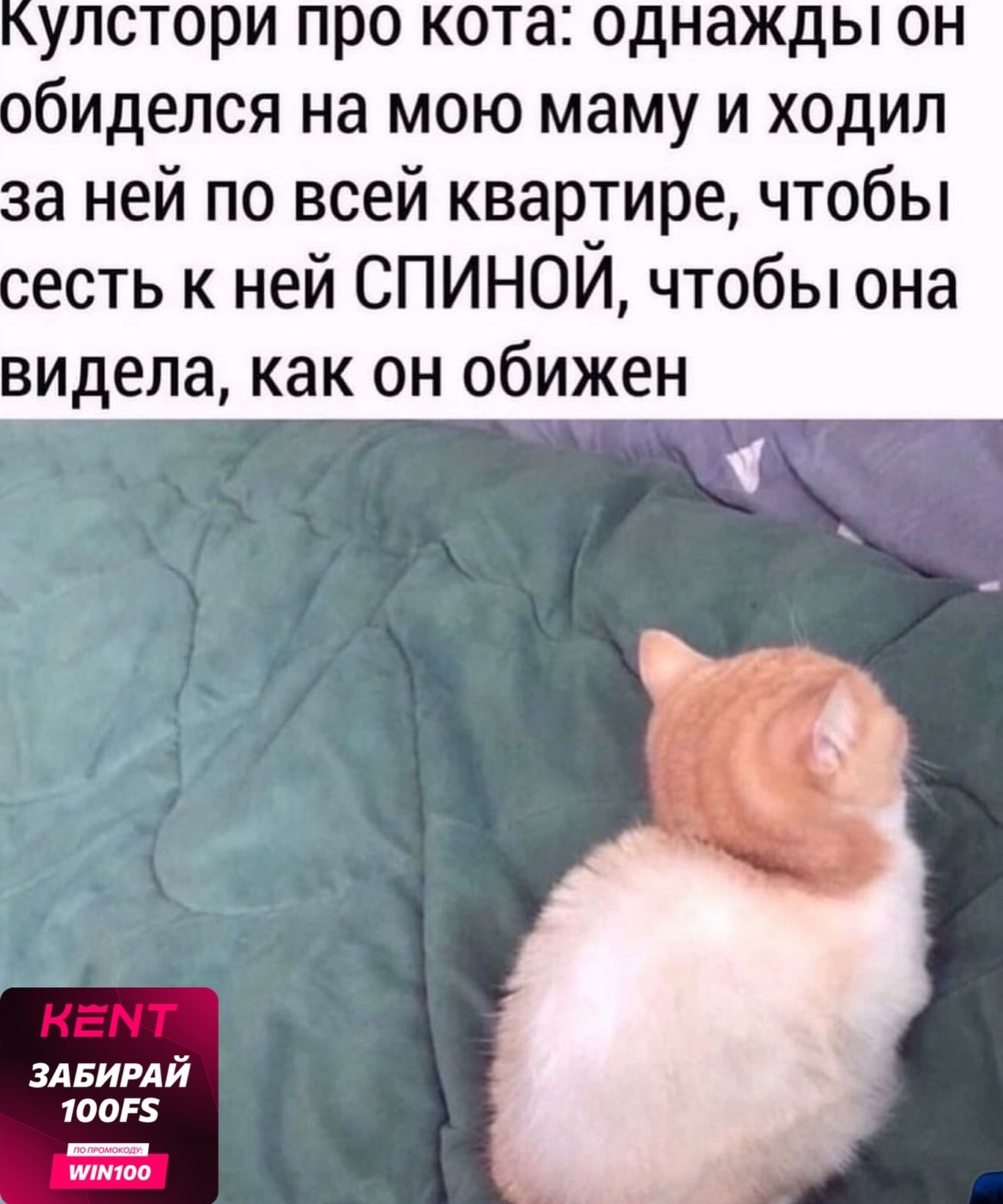 Лень в молодости - это здоровье в старости Лень в молодости - это здоровье в старости