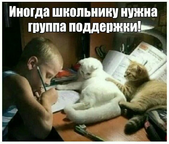 Забавности и различный юмор для чудесного настроения