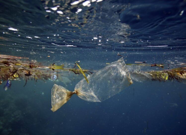 Кто может очистить моря и океаны от пластикового мусора? (5 фото)
