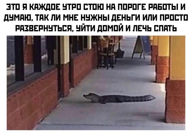 Подборка прикольных картинок  приколы,смешные картинки,юмор