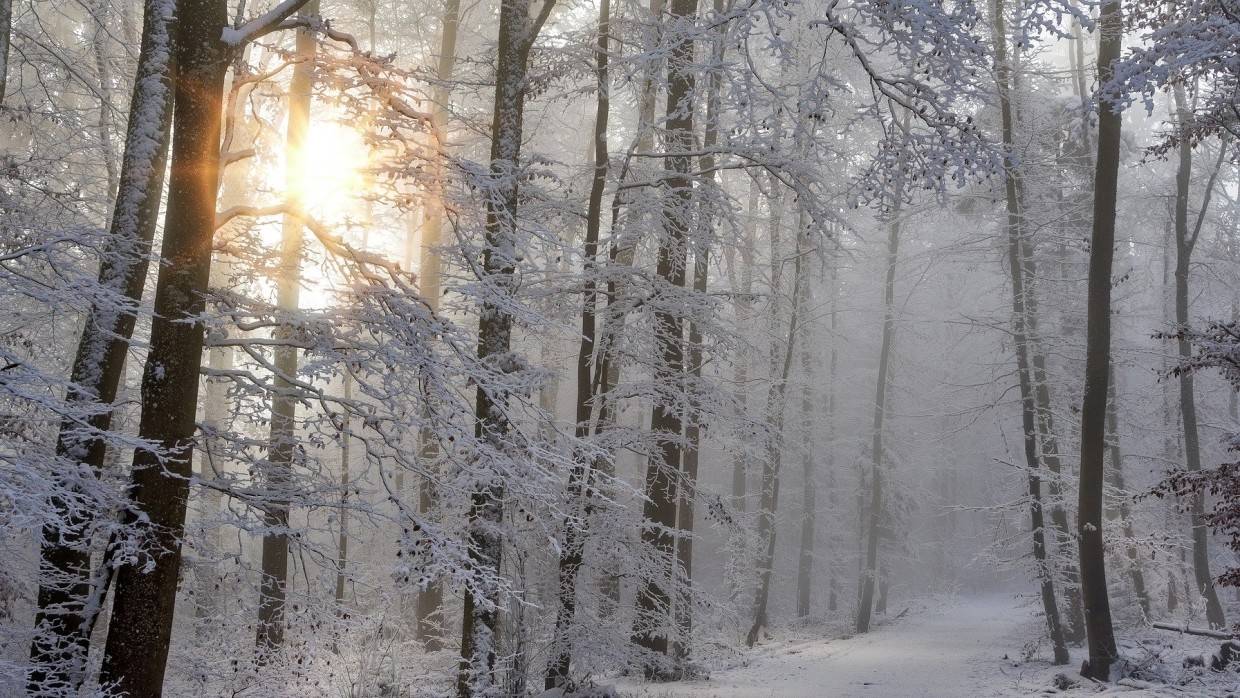 Гидрометцентр спрогнозировал погоду в России на Новый год