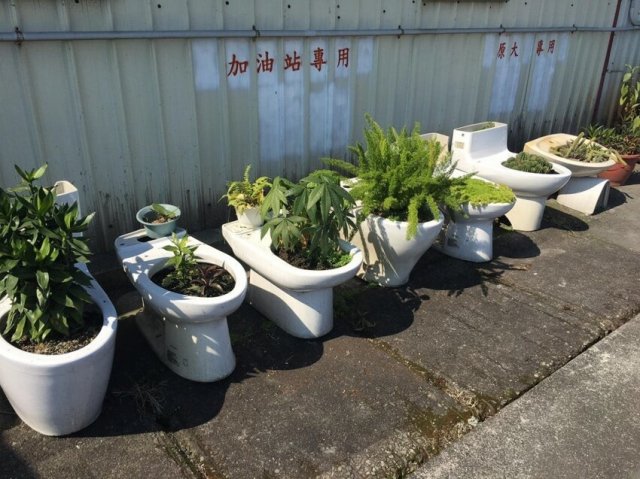 Фотографии, которые заставят задаться вопросом "Что здесь происходит?" Фотографии, которые заставят задаться вопросом "Что здесь происходит?" позитив,смешные картинки,юмор