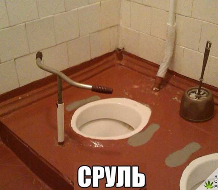 Забавные картинки с надписями для настроения (11 фото)