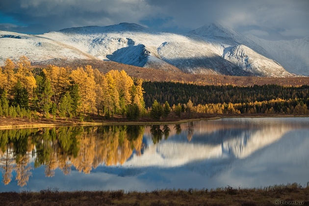 Фотограф Светлана Казина