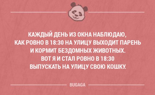 Забавные мысли и высказывания. Часть 46 (20 шт)