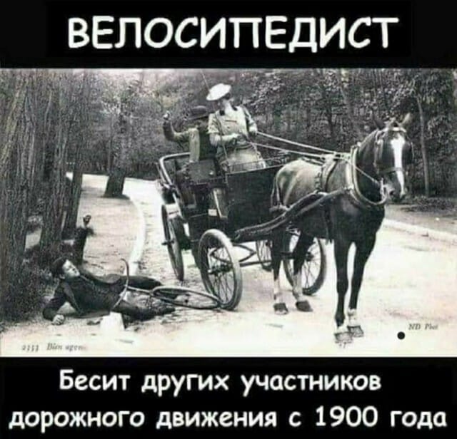 — Что сказал отец, когда узнал, что ты разбил его автомобиль?...