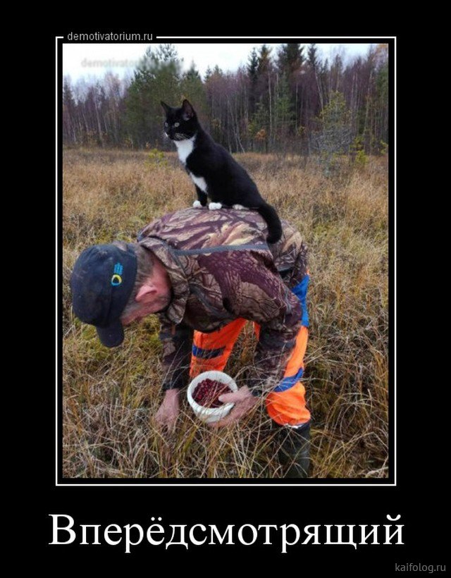 Наши просчеты оказались верны..