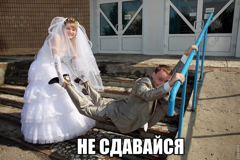 Картинки загс смешные