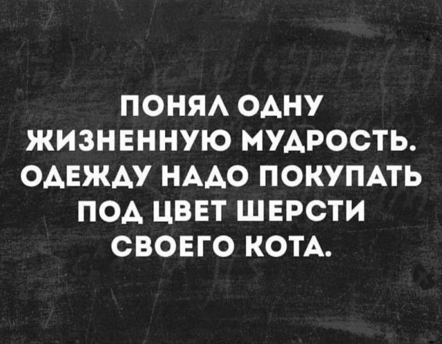 Прикольные картинки и забавные фотографии с надписями из нашей жизни 