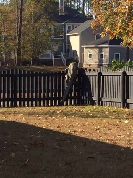 Прикольные картинки для настроения: «Бьюти-советы для мужиков…» 