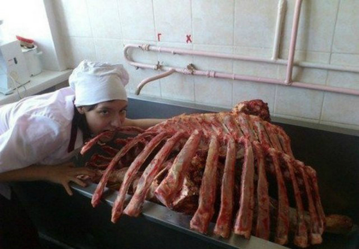 Краски жизни: 17 курьезных ситуаций, которые заставят улыбнуться