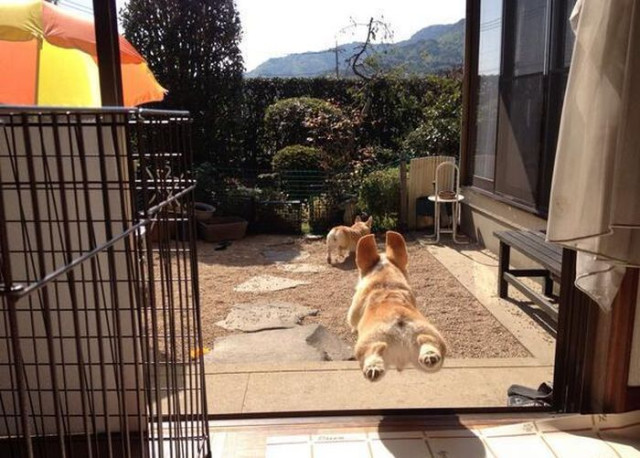 Прикольные картинки для настроения: «Бьюти-советы для мужиков…» 