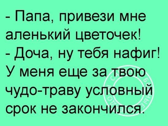 Хочу уже оливье и бухать шампанское! анекдоты