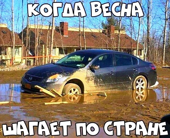 Автоприкольчики. Юмор каждый день!