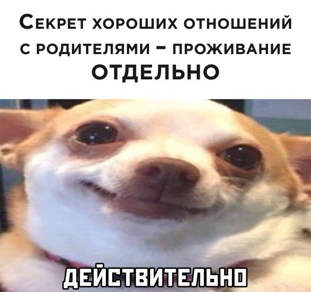 Смешные картинки в ассортименте 