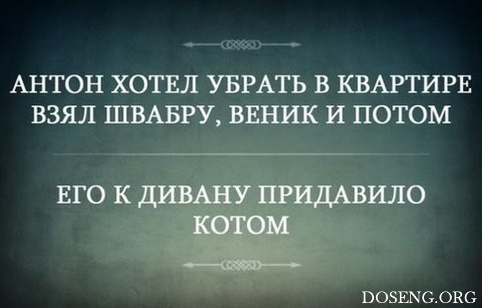 Подборка шуток и приколов