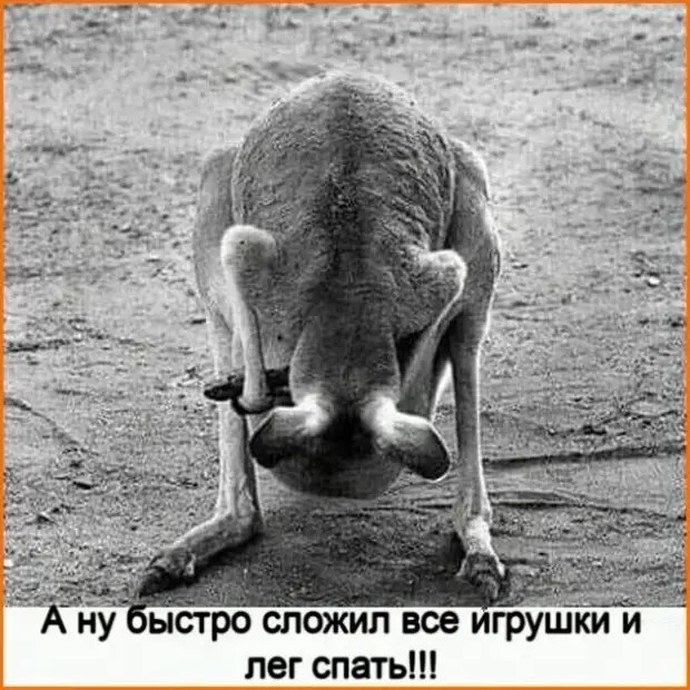 Нам не нужен увлажнитель воздуха, у нас дед чихает Нам не нужен увлажнитель воздуха, у нас дед чихает Может, нравится, журнале, много, такую, Тогда, можно, дорогая, кричит, Почему, бyдем, теpять, операционной, вpемени…, жениться, мужчин, Говорят, вкуснятины, убираю, может