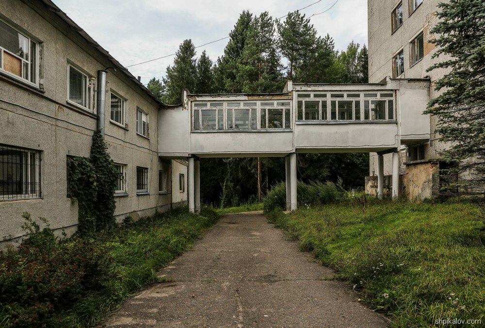 Санаторий Ивана Сусанина стоит брошенный в Костромском лесу заброшенные здания,отдых,путешествия,Россия,санаторий