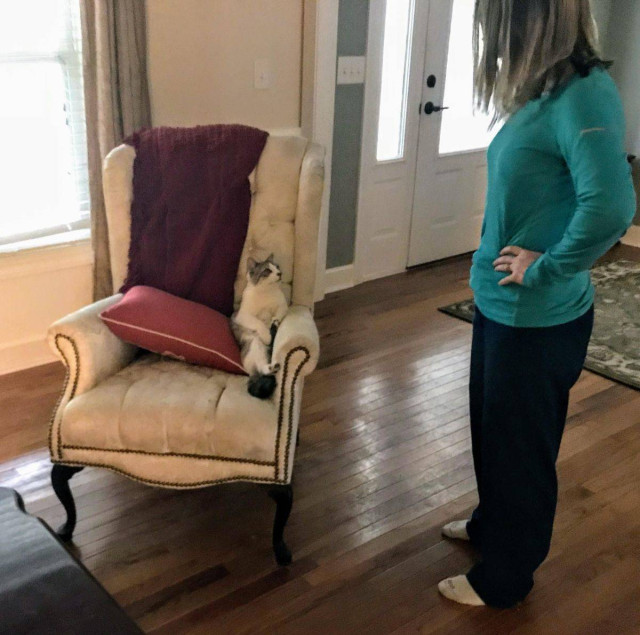 Прикольные картинки для настроения: «Бьюти-советы для мужиков…» 