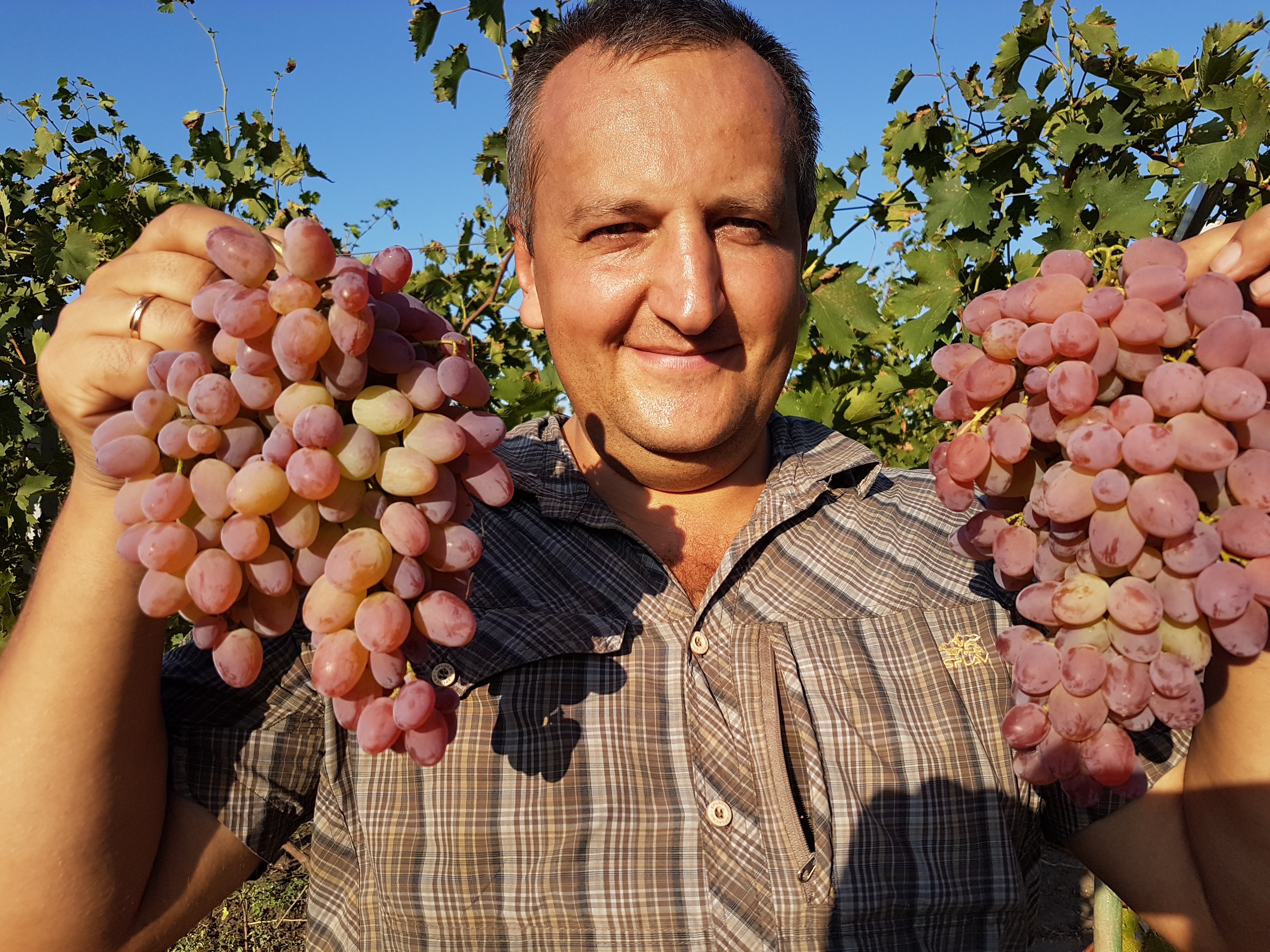 Как майор полиции стал ягодным фермером