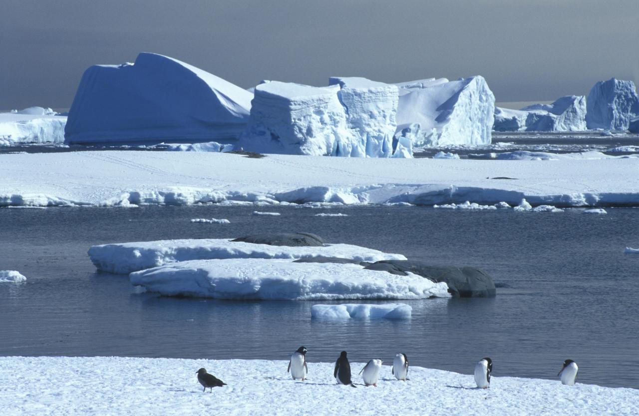 В озерах открылась. Антарктическая станция озеро Восток. Антарктида ледник Туэйтса. Ледник Туэйтса в Западной Антарктиде. Восток и Мирный Антарктида.